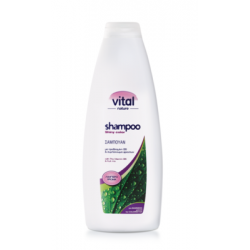 Shampoo Βαμμένα Μαλλιά